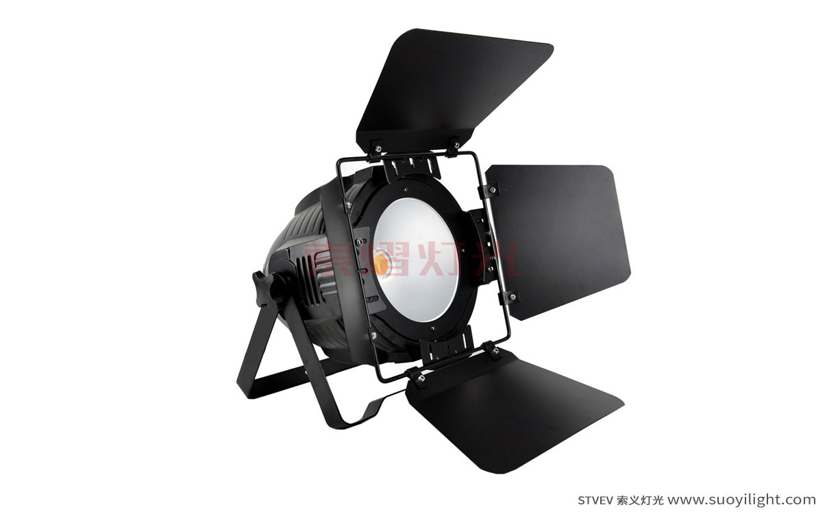 Finland200W COB LED Par Light