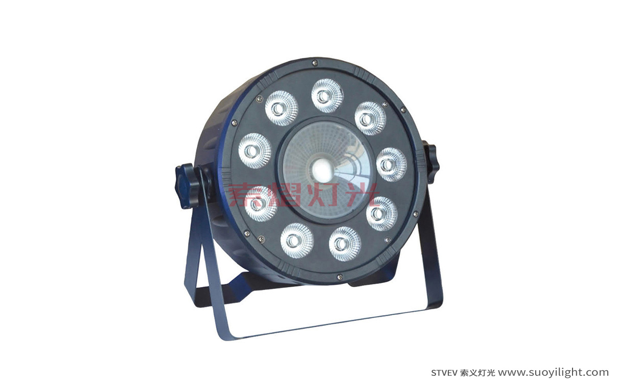 Finland9+1 LED Plastic Par Light