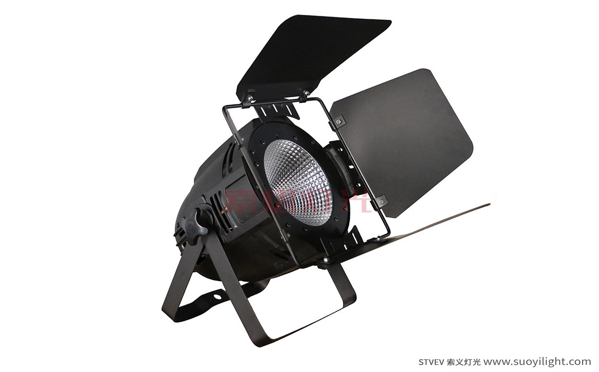 Finland100W LED COB Par Light
