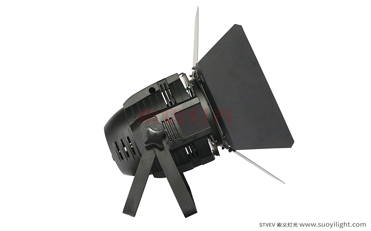 Finland100W LED COB Par Light