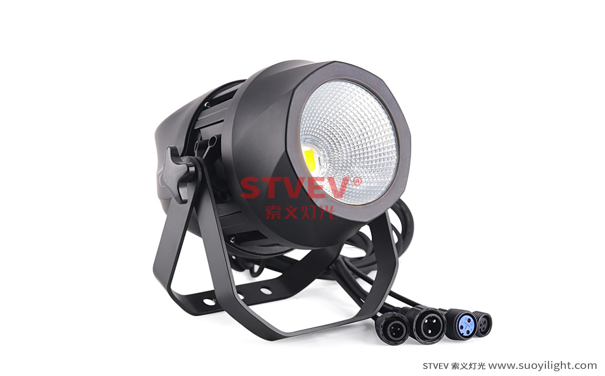 Finland200W Waterproof COB Par Light