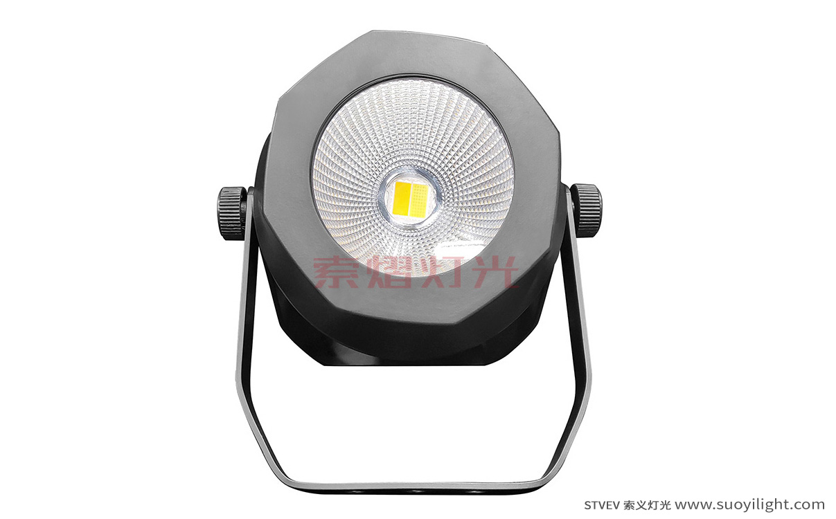 Finland200W Waterproof COB Par Light